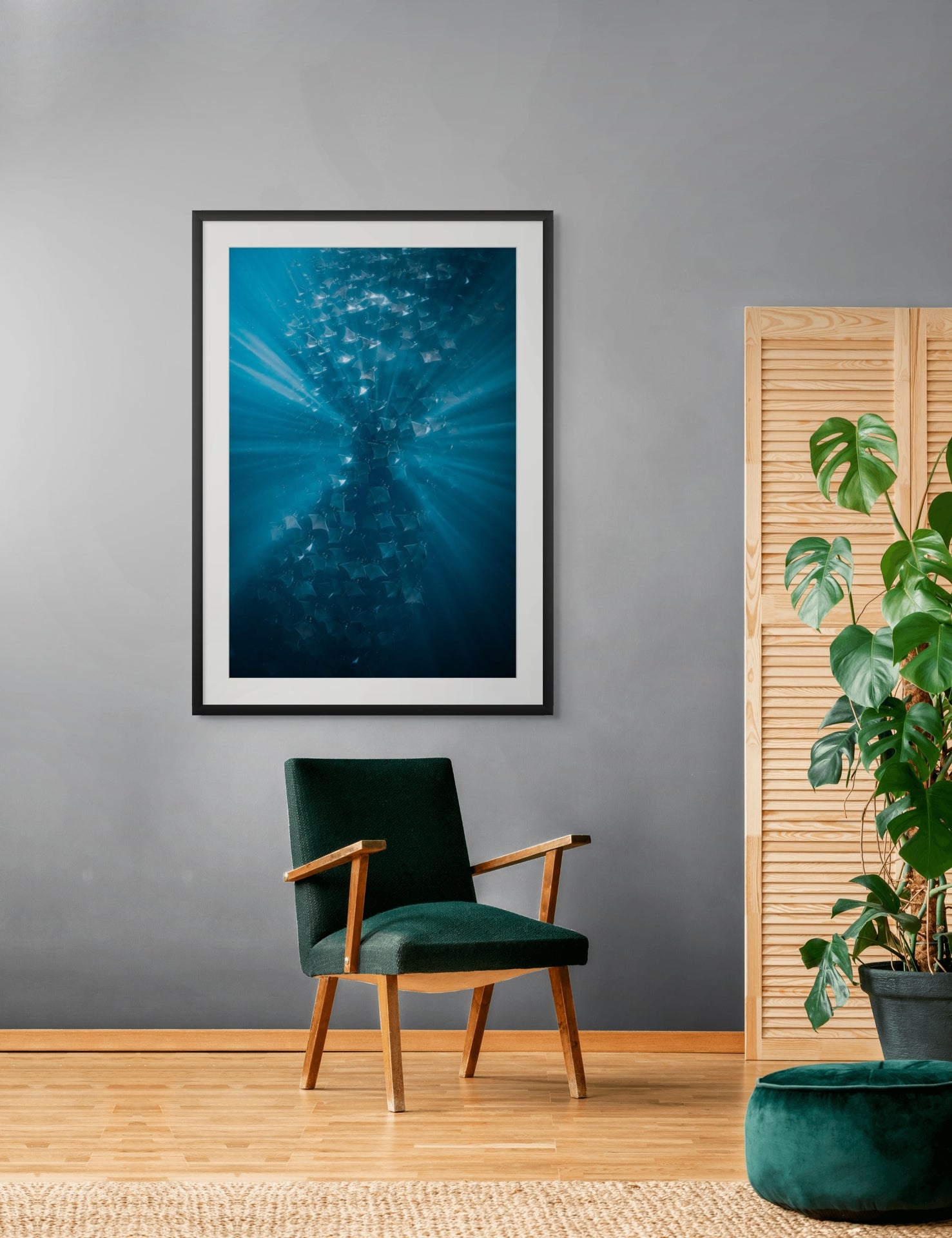 In the Spotlight - Photo Print