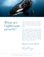 Adaptive AI-Powered Underwater Lightroom Presets (50 Presets)