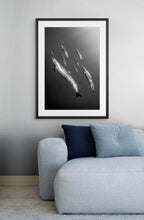 Part of the Pod - Photo Print