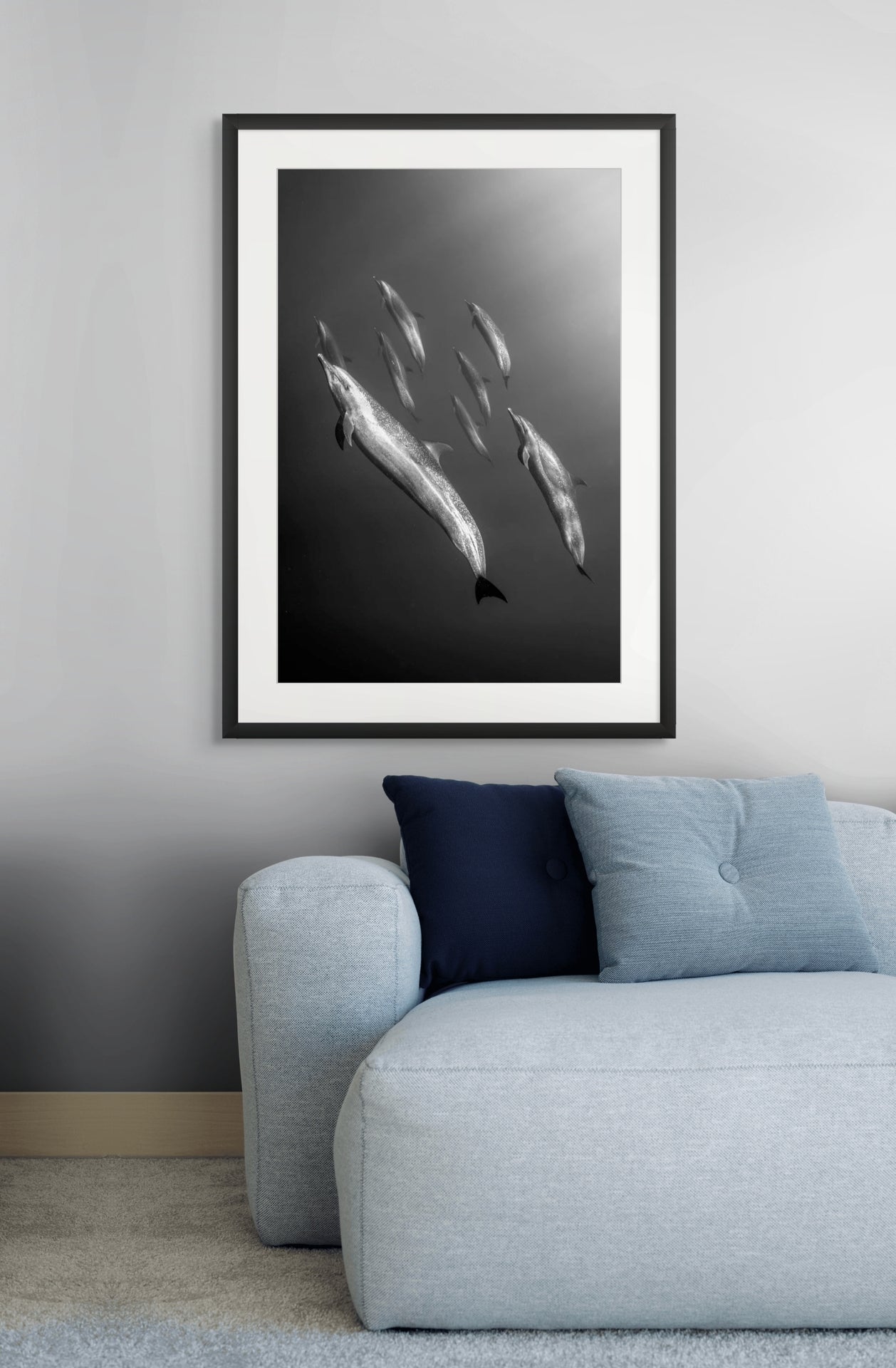 Part of the Pod - Photo Print