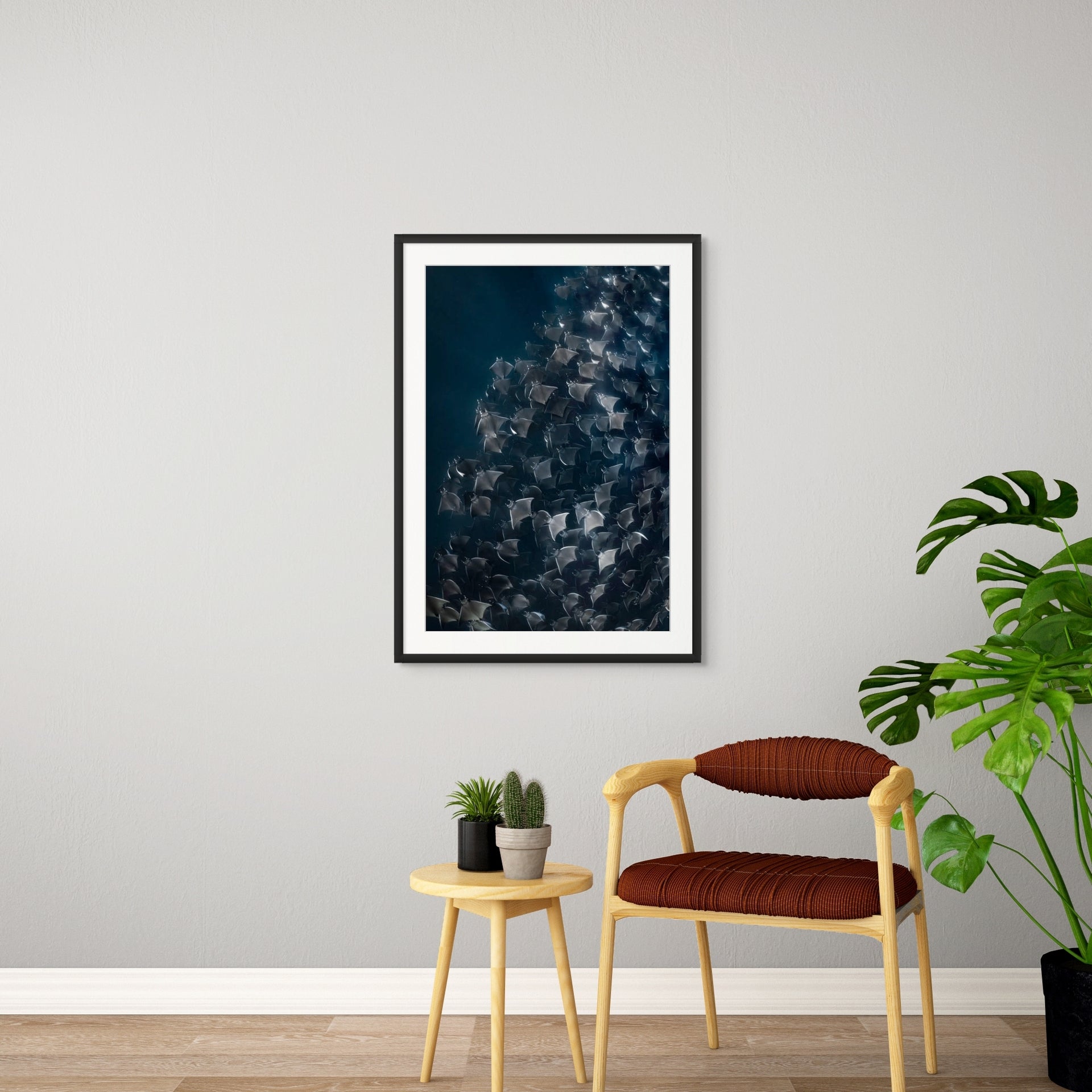 Rays for Days - Photo Print