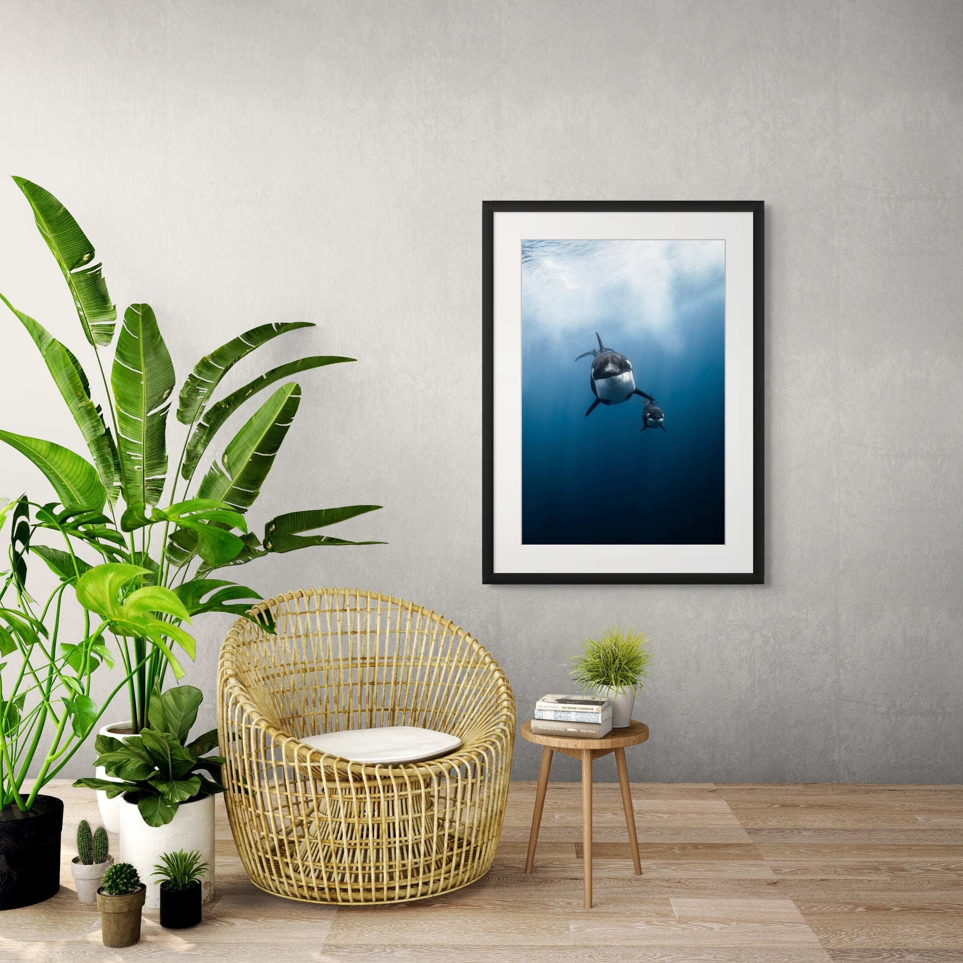 Playtime - Photo Print