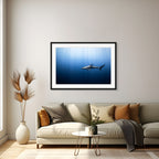 Silky - Photo Print