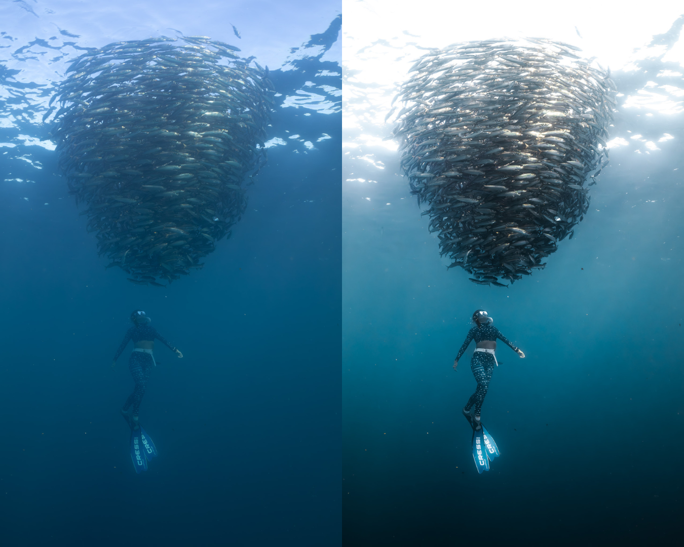 Adaptive AI-Powered Underwater Lightroom Presets (50 Presets)