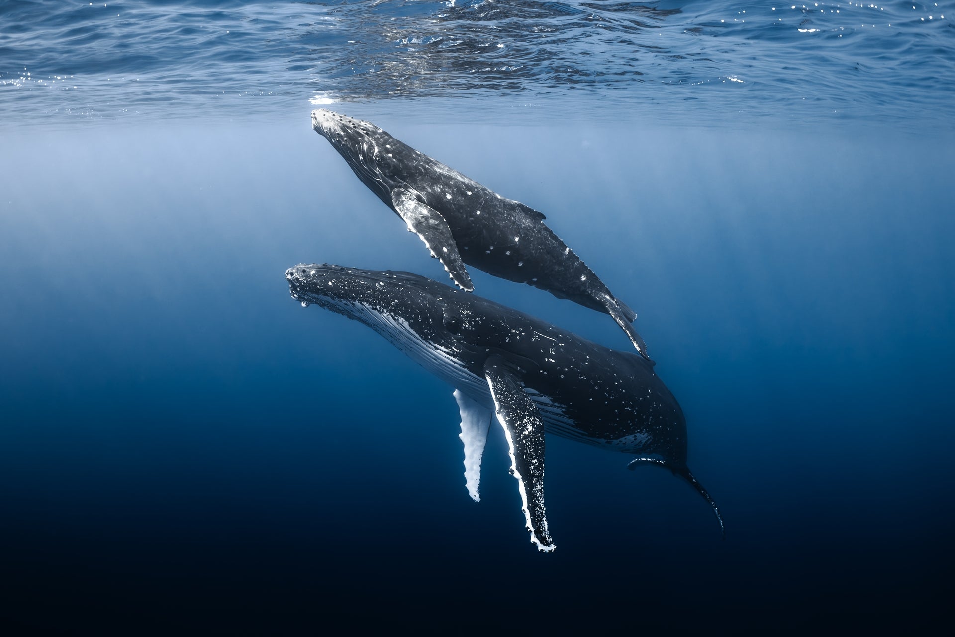Mommy and Me - Photo Print