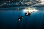 Spotlight - Photo Print