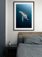 Ascend - Photo Print