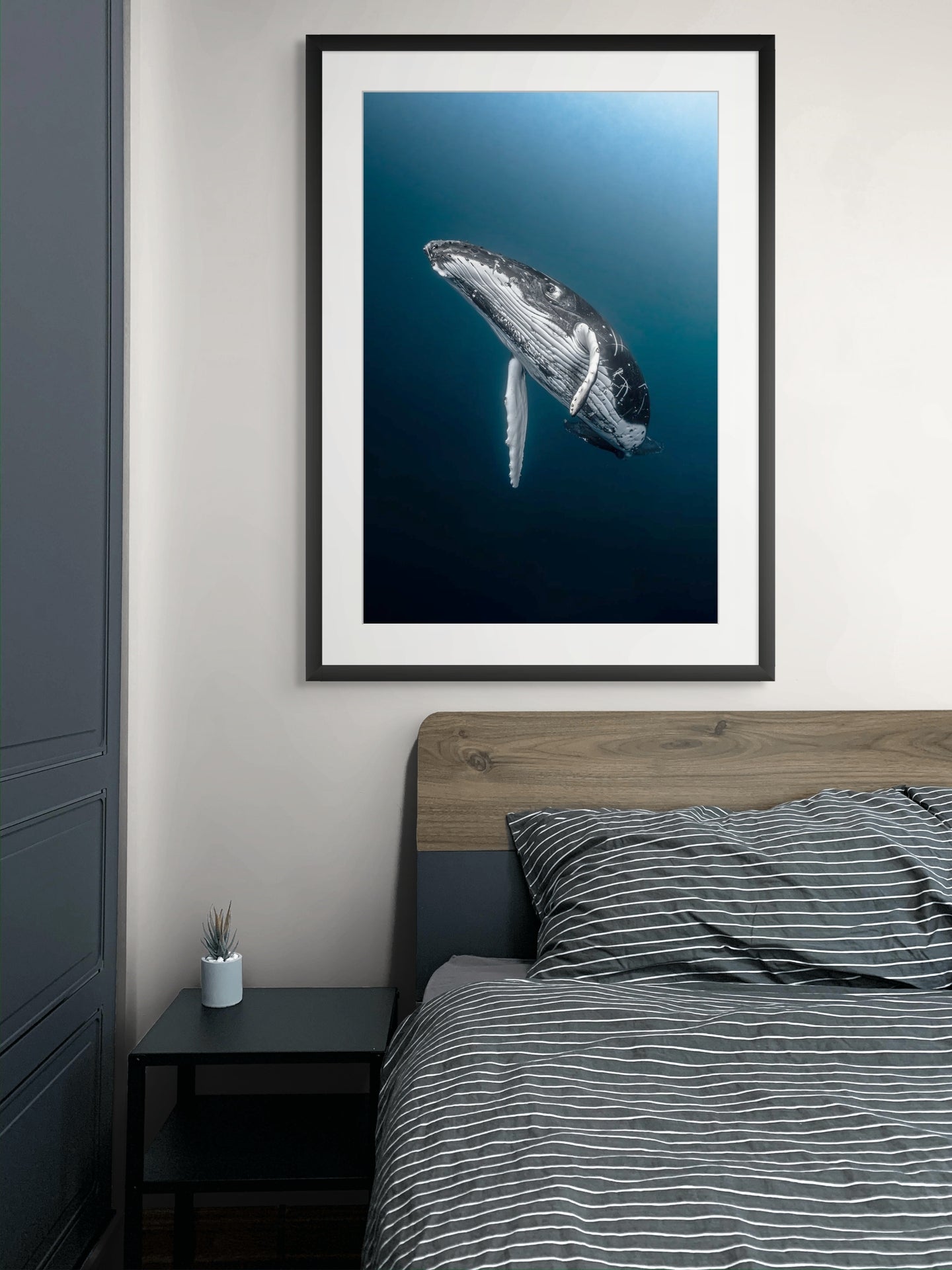 Ascend - Photo Print