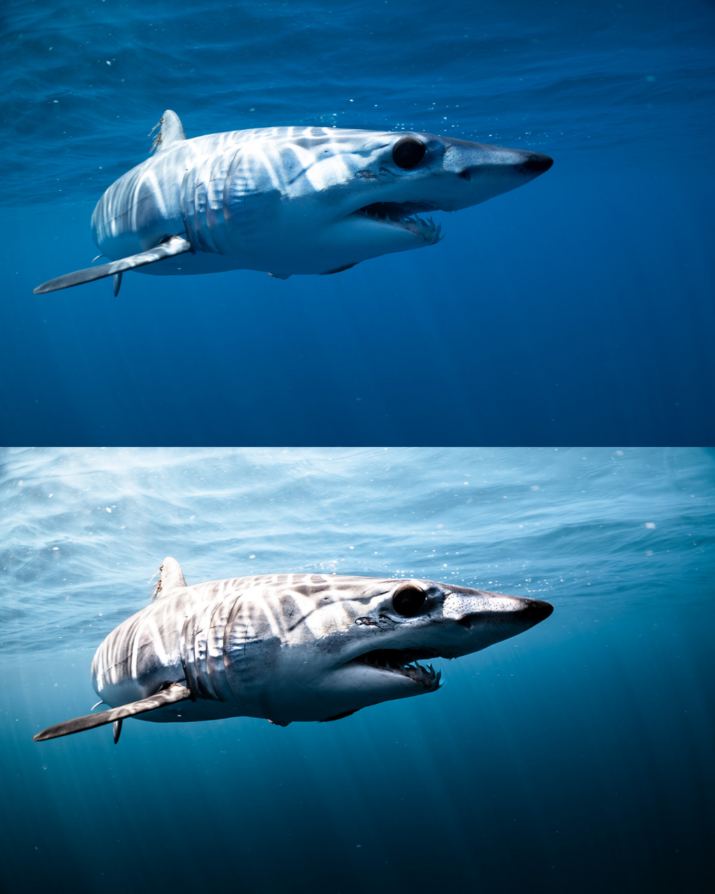 Adaptive AI-Powered Underwater Lightroom Presets (50 Presets)