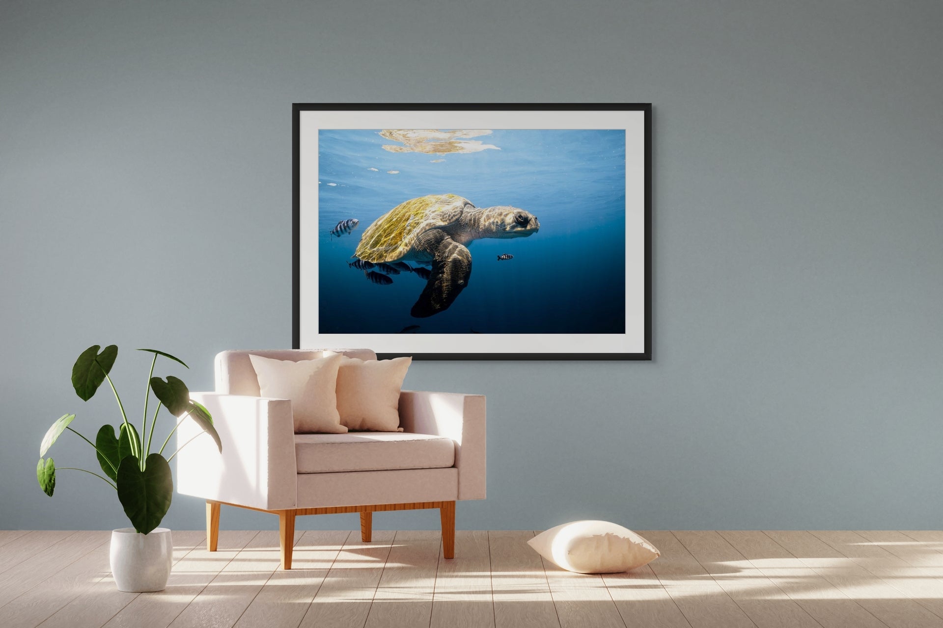 Hitchhikers - Photo Print