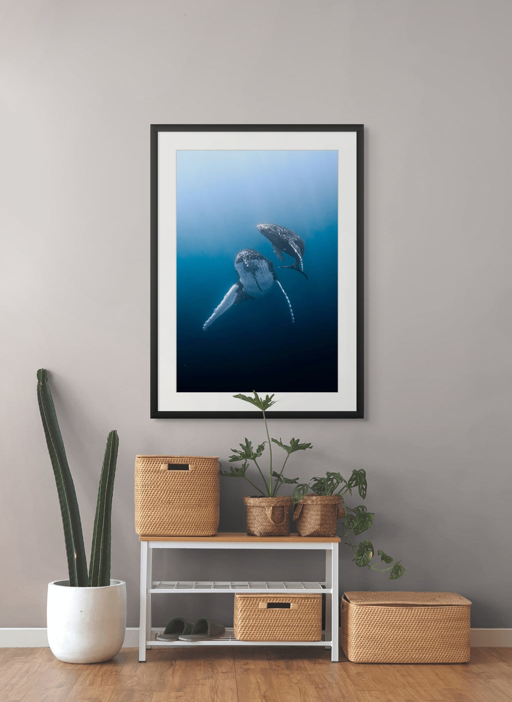 From the Depths - Photo Print
