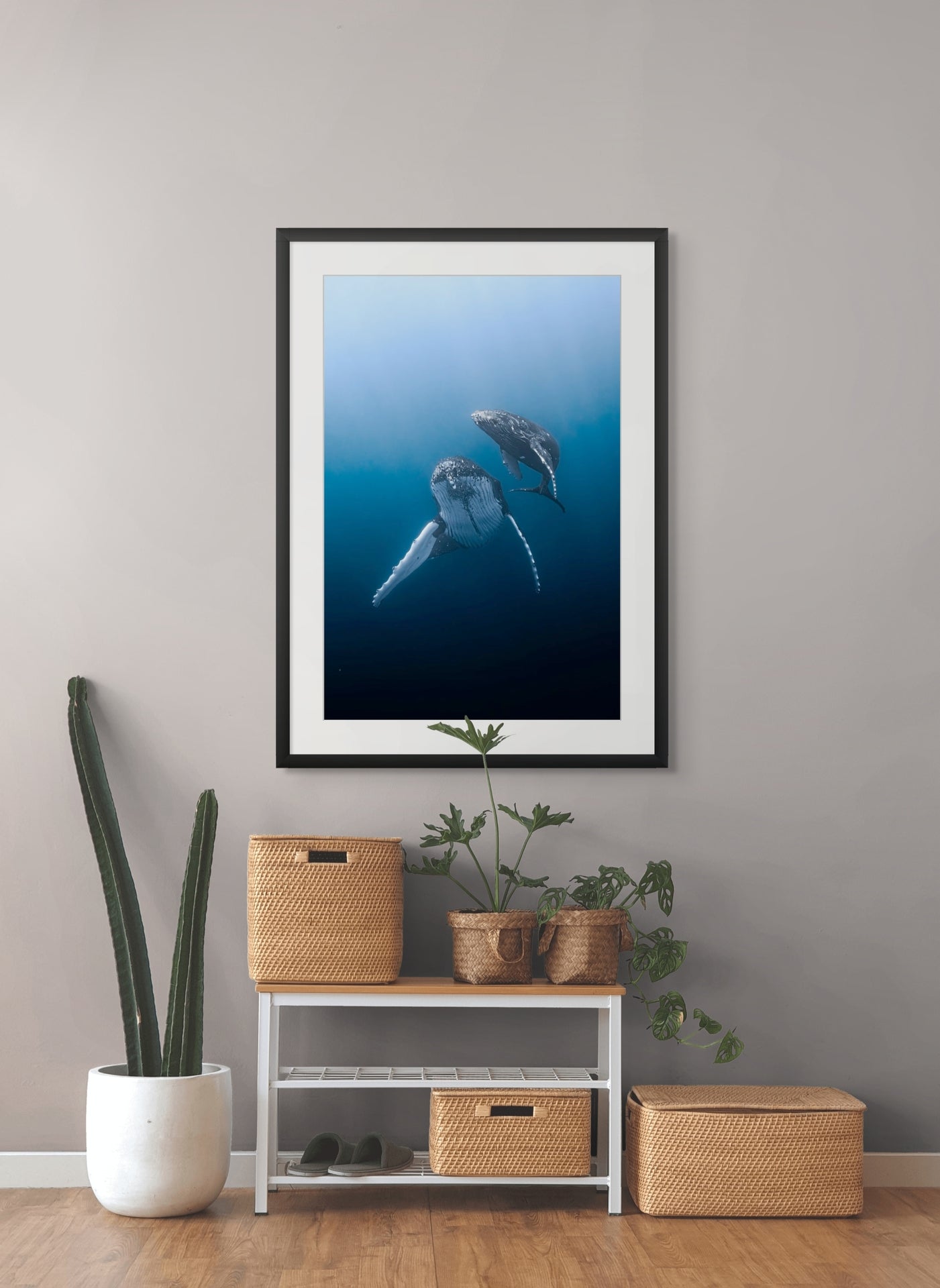 From the Depths - Photo Print