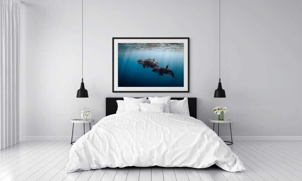 Family Ties - Photo Print