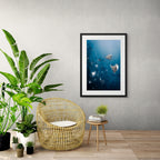Paired Off - Photo Print