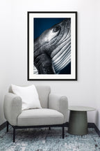 Eye of a Giant - Photo Print