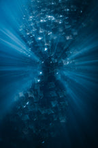 In the Spotlight - Photo Print