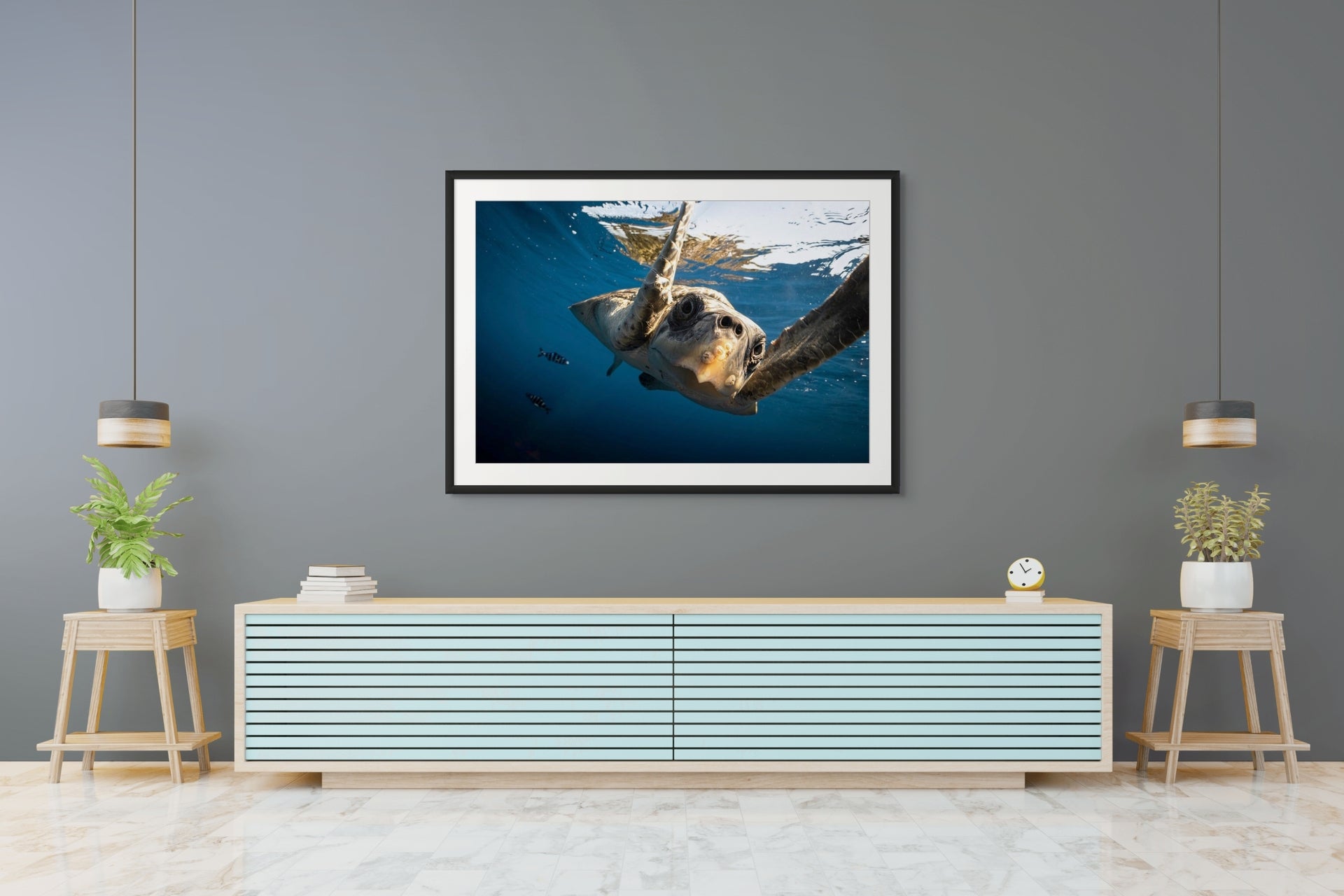 Why So Nosy? - Photo Print