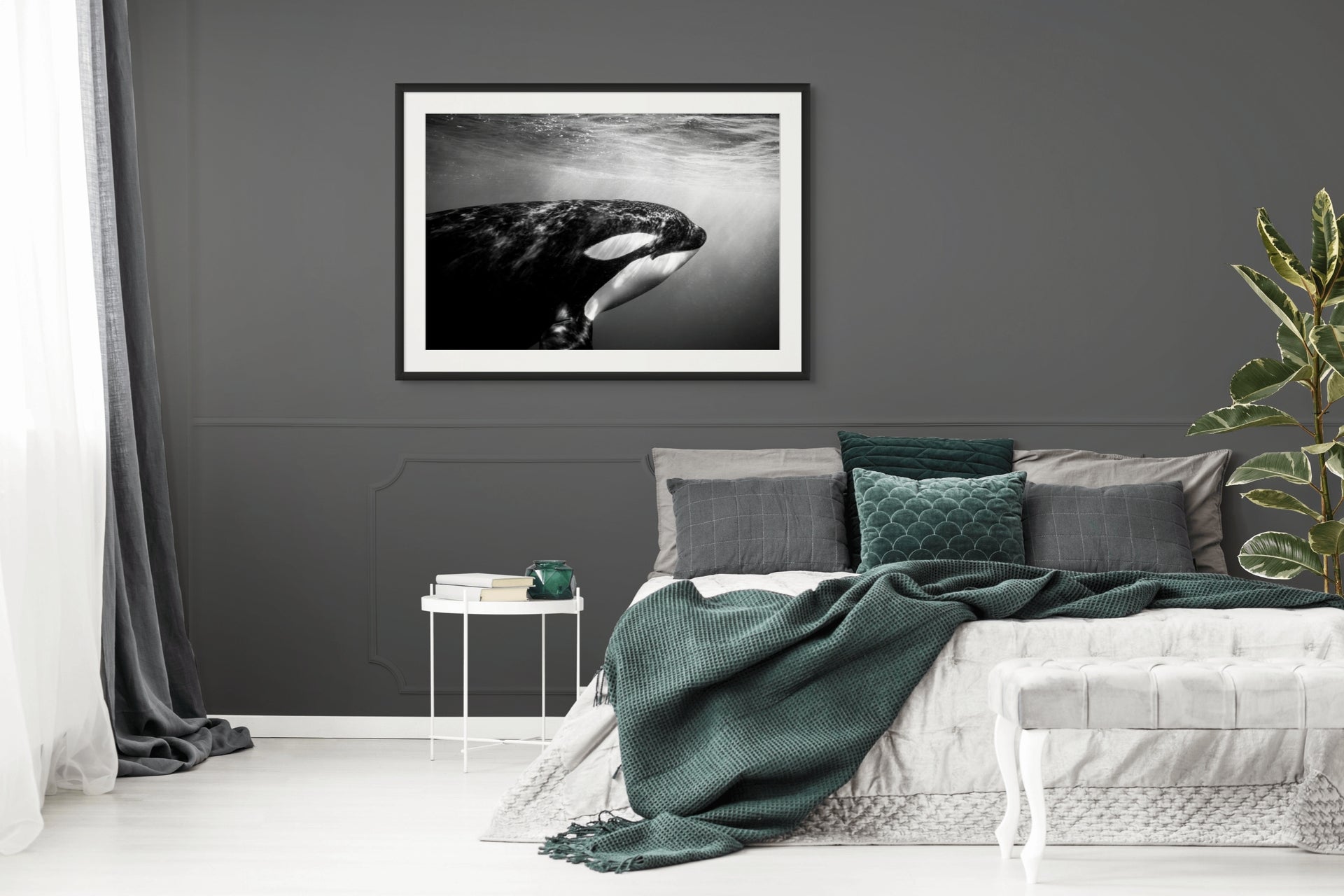 Eye to Eye - Photo Print