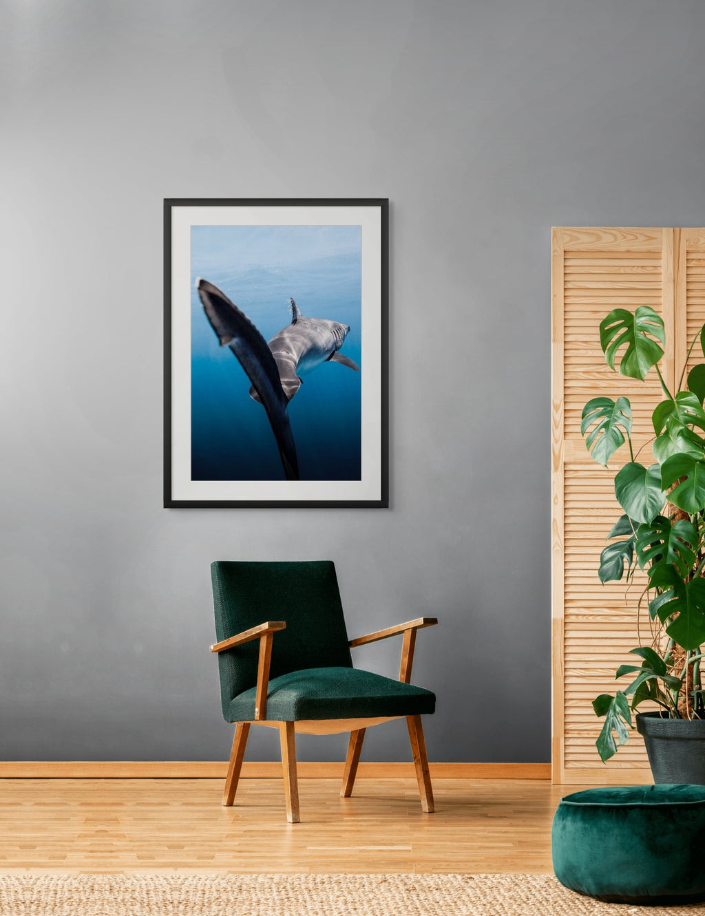 Slipstream - Photo Print