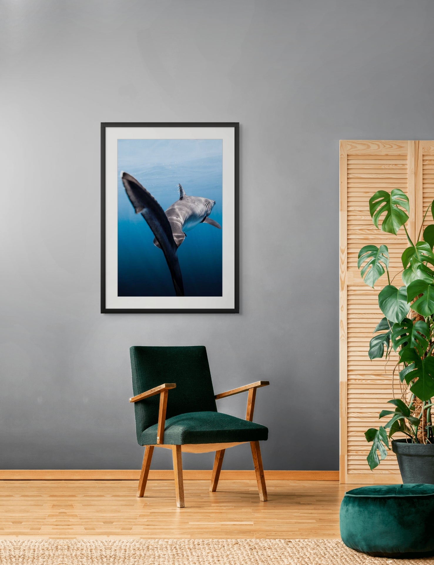 Slipstream - Photo Print