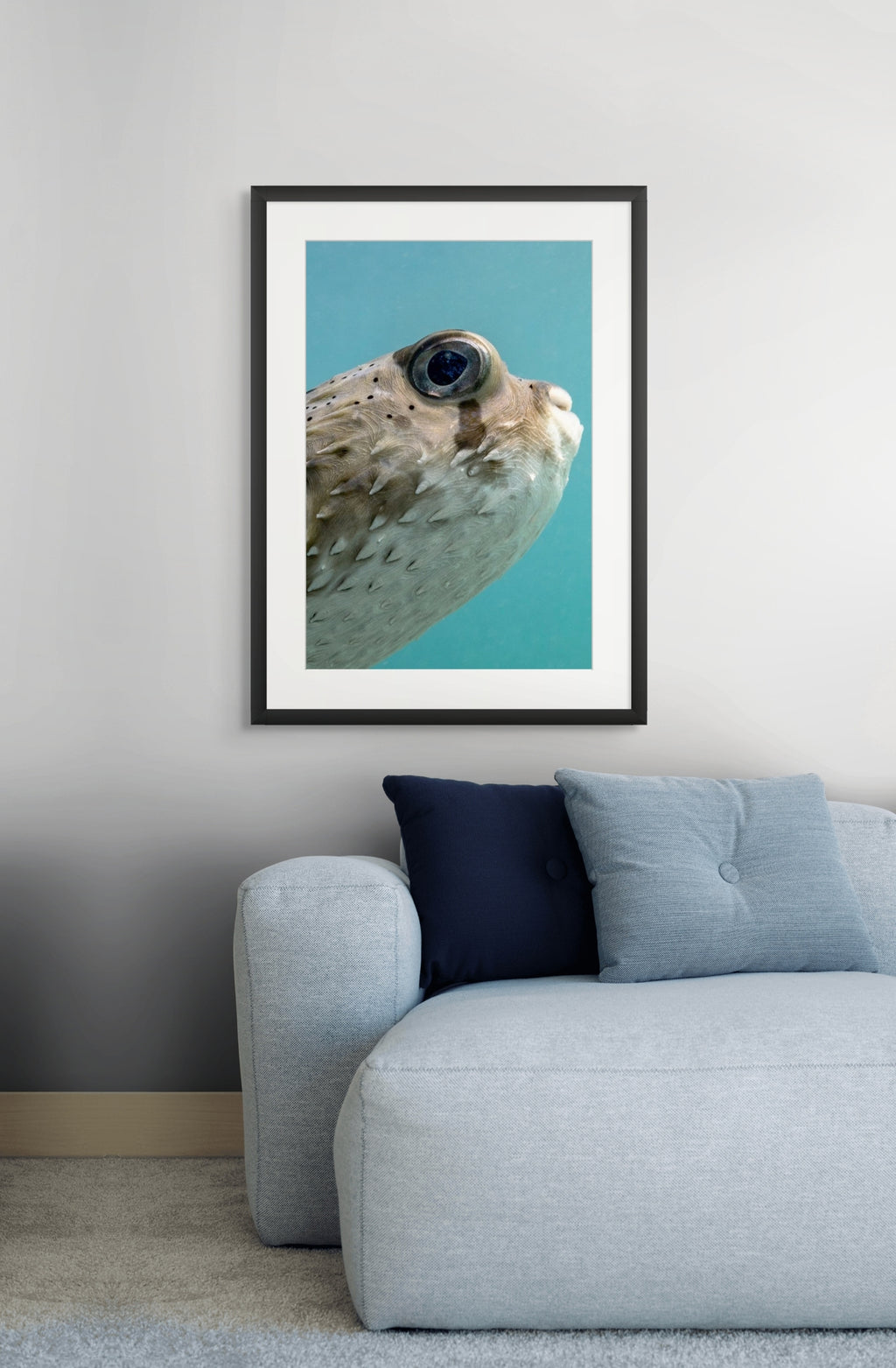 Peekaboo - Photo Print
