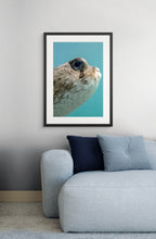 Peekaboo - Photo Print
