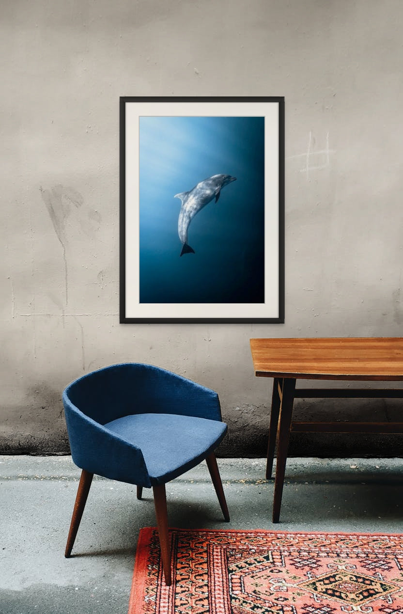 Flipper - Photo Print