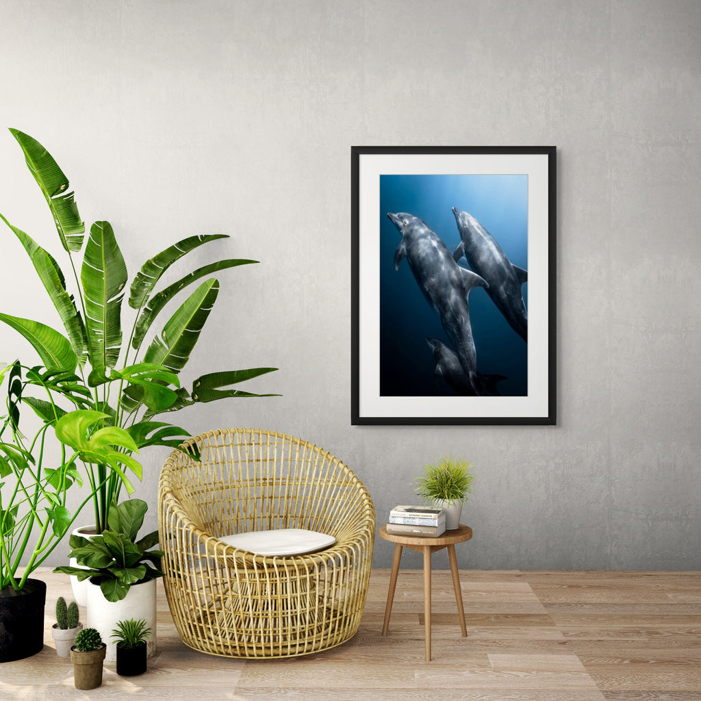 The Pod Squad - Photo Print