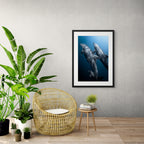 The Pod Squad - Photo Print
