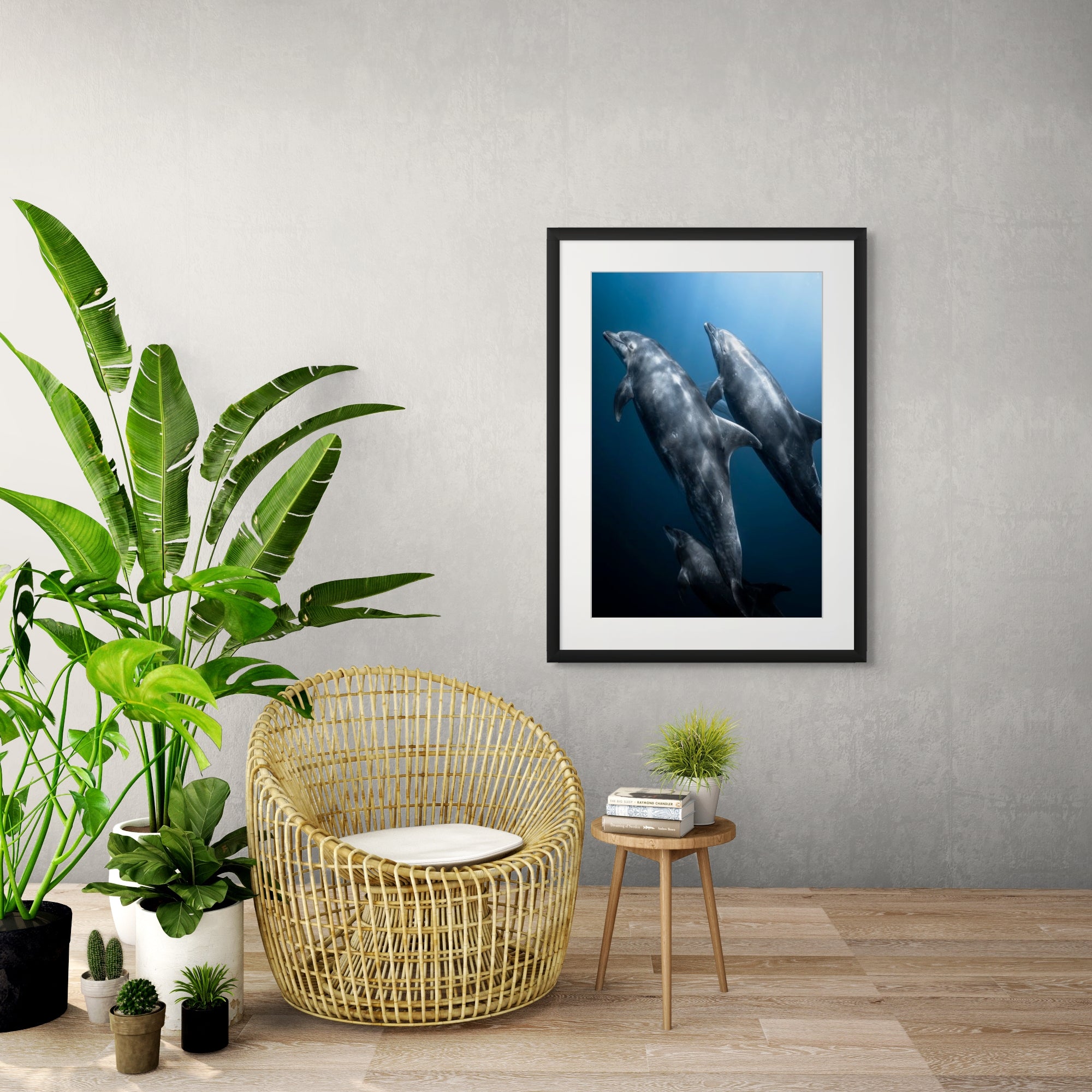 The Pod Squad - Photo Print