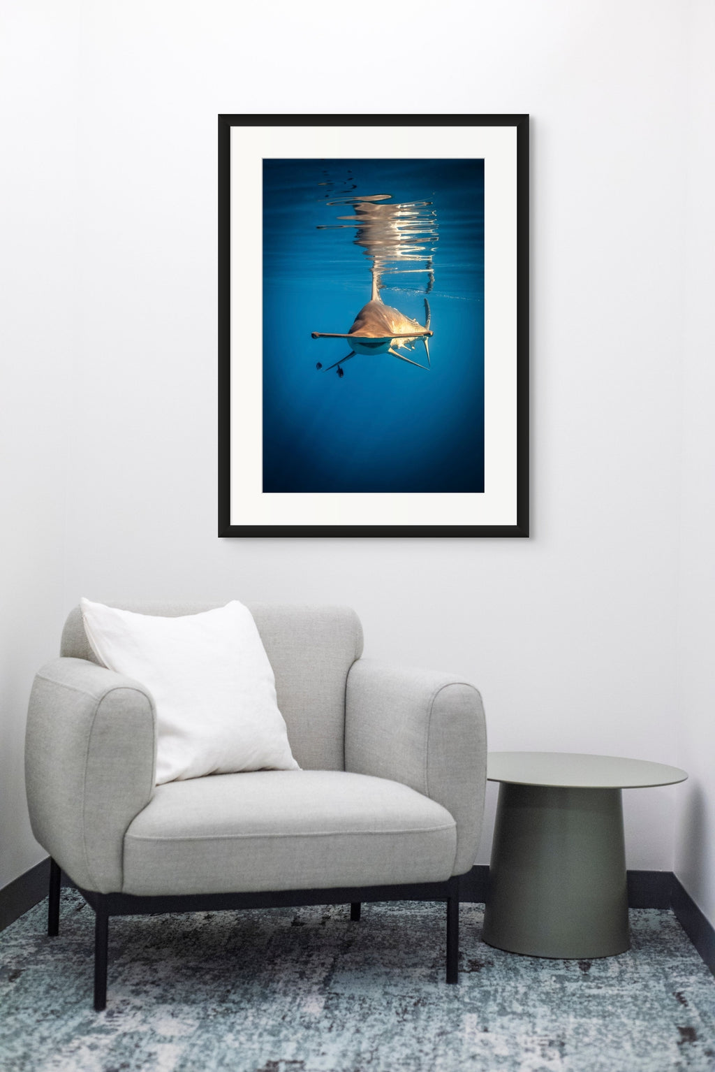 Face Off - Photo Print
