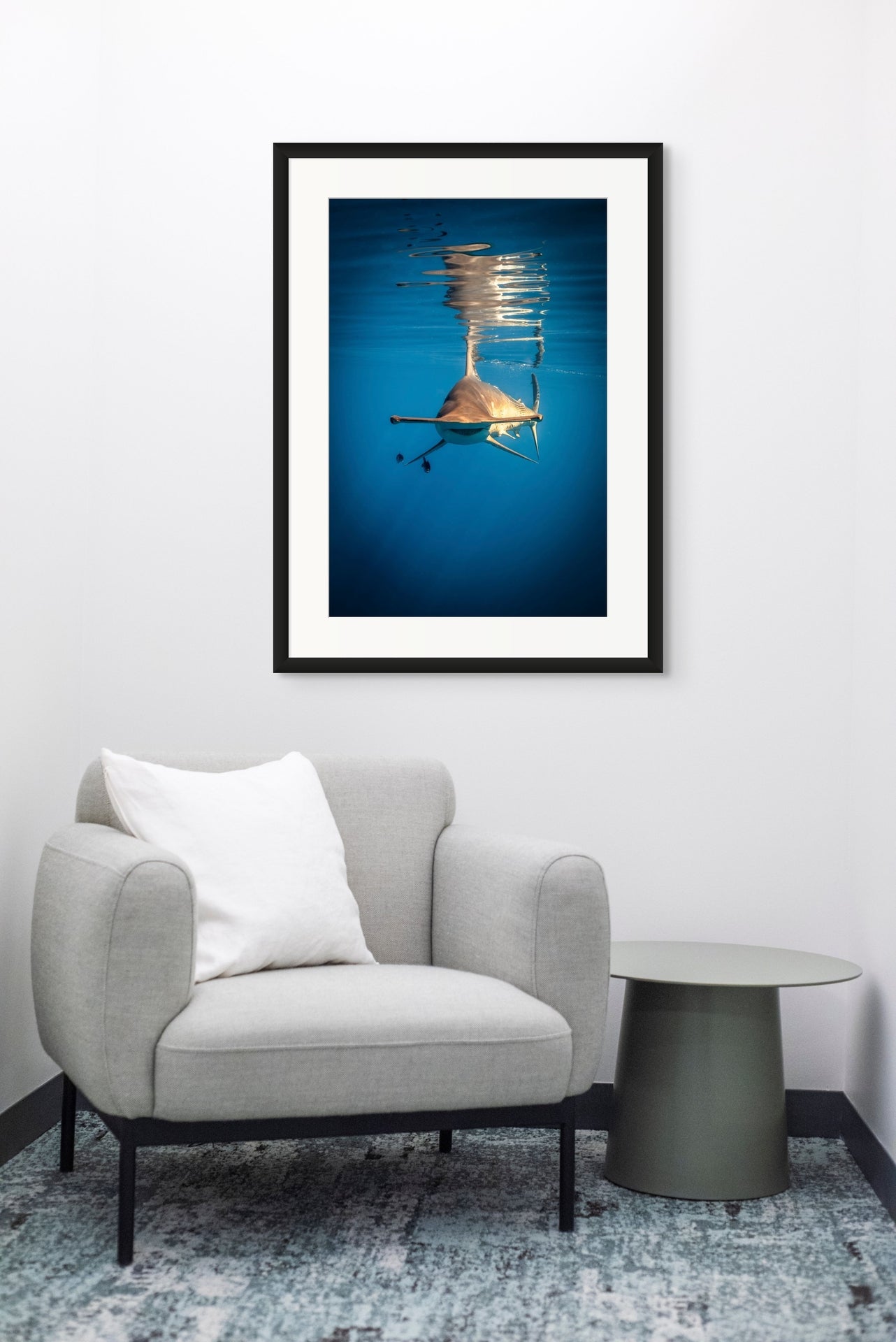 Face Off - Photo Print