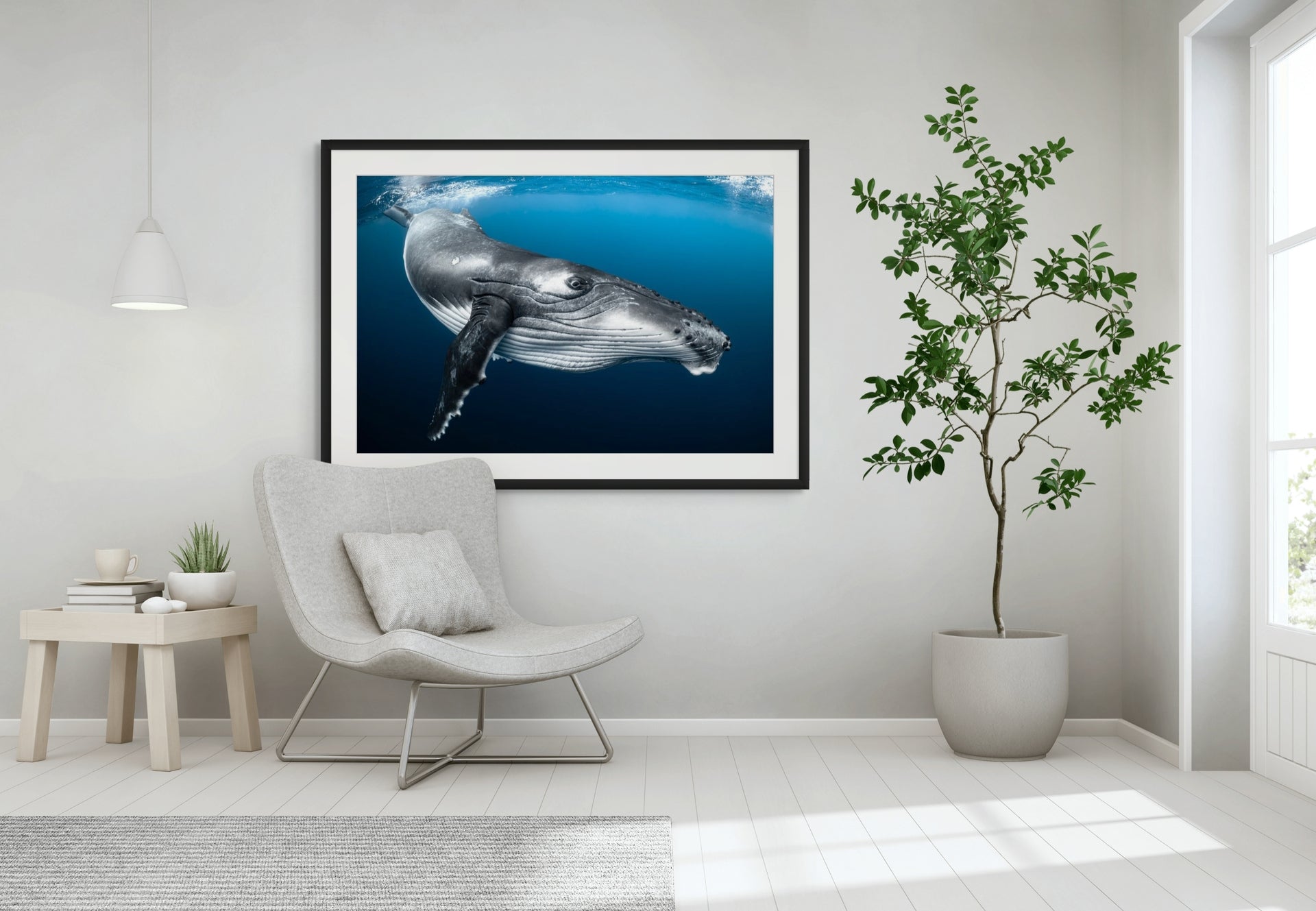 Big Baby - Photo Print