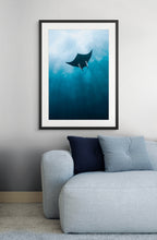 Manta Dreams - Photo Print