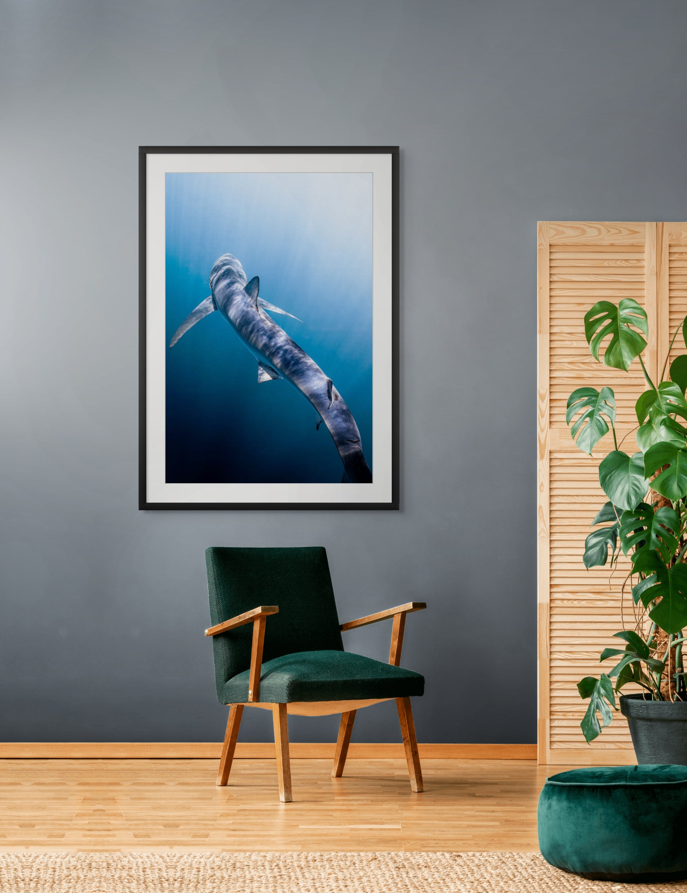 Feelin' Blue - Photo Print