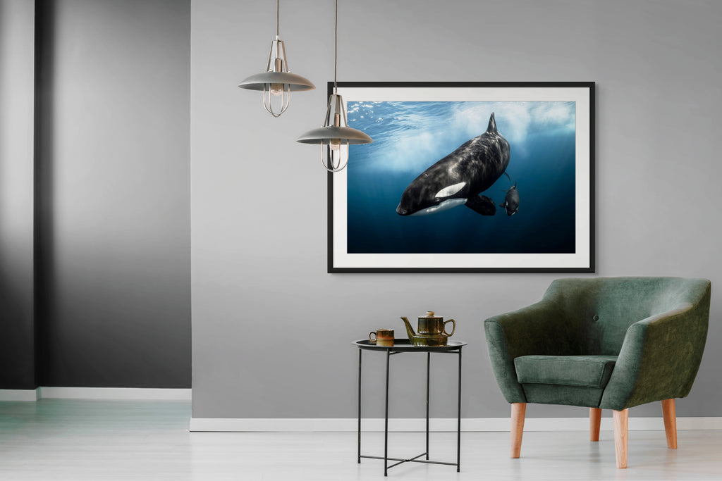 Matriarch - Photo Print