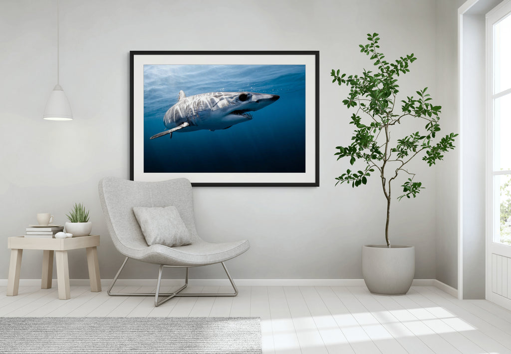 Toothy - Photo Print