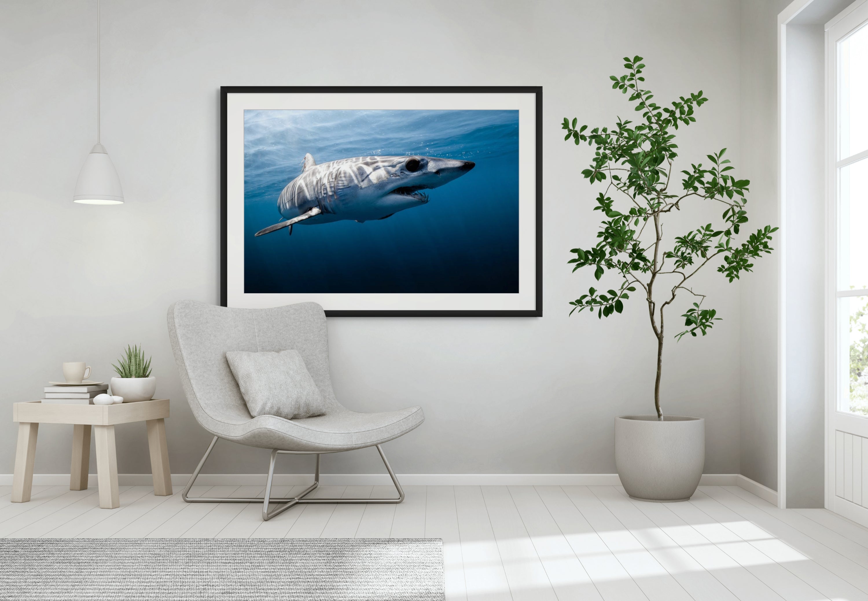 Toothy - Photo Print